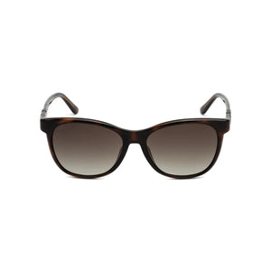 Jimmy Choo JUNE/F/S Havana Sunglasses